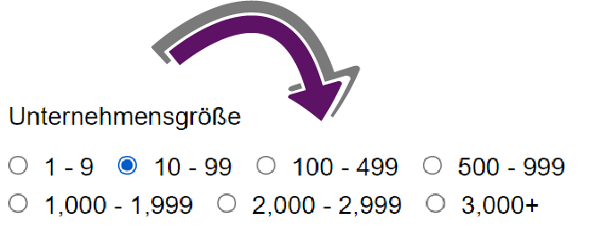 Bildschirmausschnitt des Formulars zur Unternehmensgröße