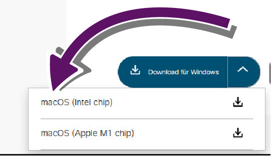 Bildschirmausschnitt mit aufgeklappter Auswahl der Download-Zielsysteme